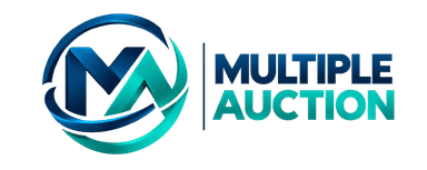 Multiple Auction